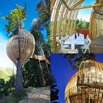 Yellow Treehouse Restaurant a