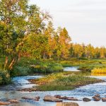 Lemmenjoki National Park a