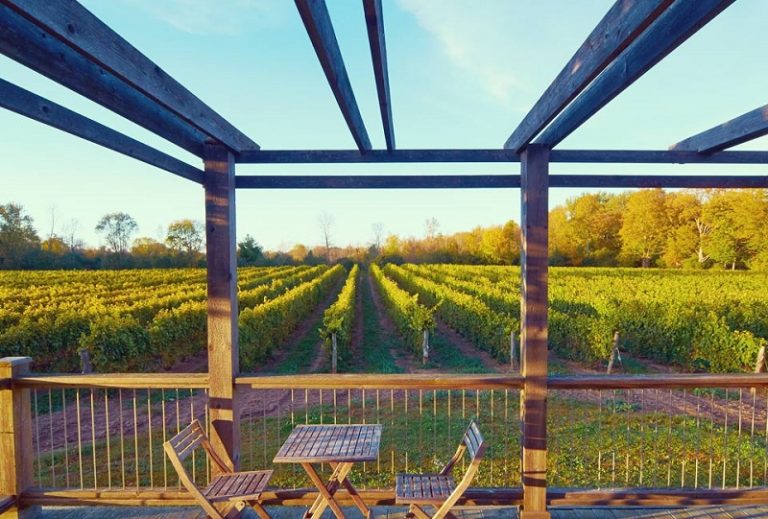 Top 10 Wine Country Destinations in the World