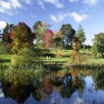 Bedgebury National Pinetum and Forest a