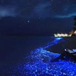 Sea of Stars at Vaadhoo Island a