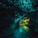 Waitomo Glowworm Caves a