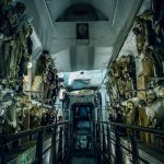 Capuchin Catacombs ax