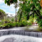 Tabacon Hot Springs and Thermal Resort a