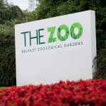 Belfast Zoo a