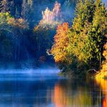 Latvia Misty Mist Forest Morning Autumn River Latvian Wallpaper Download