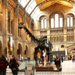 National History Museum, London 1
