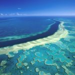 great-barrier-reef-hardy Australia