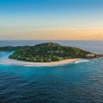 Cousine Island, the Seychelles 1