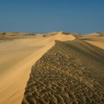 Dune Qatar