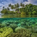 Language Solomon Islands