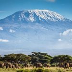 Mount Kilimanjaro 1