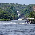 Murchison Falls 1
