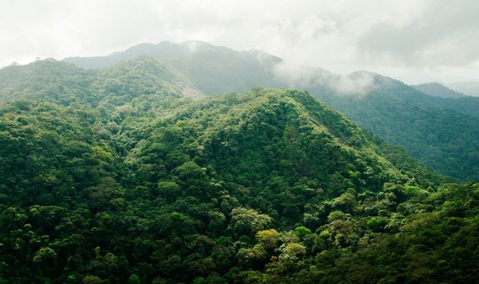 10 Things Sierra Leone Is Famous for