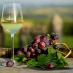 Wine Serbia