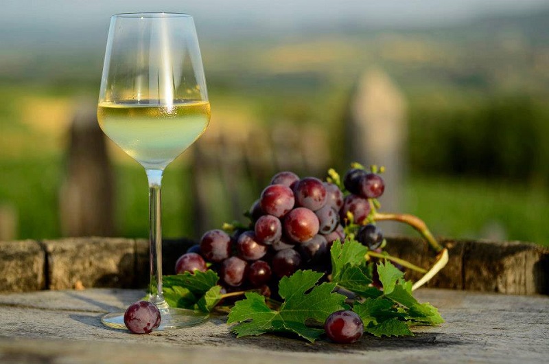 Wine Serbia