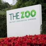 Belfast Zoo 1