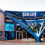 Birmingham National Sea Life Centre 1