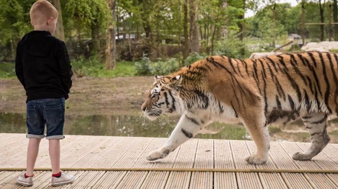 Liverpool With Kids – The Best Things to See and Do With Kids in Liverpool