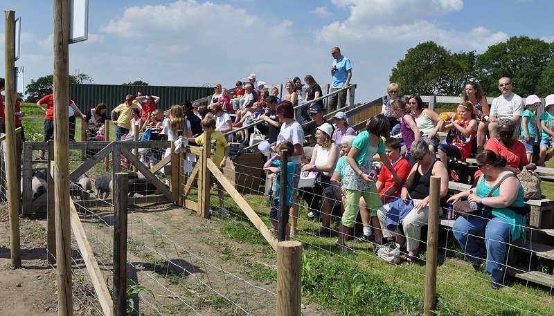 Apple Jacks Adventure Farm