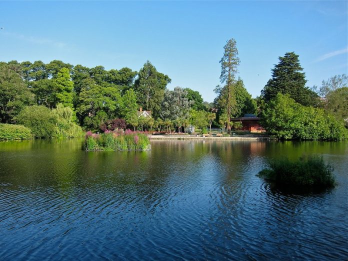 Swansea With Kids – The Best Things to See and Do With Kids in Swansea