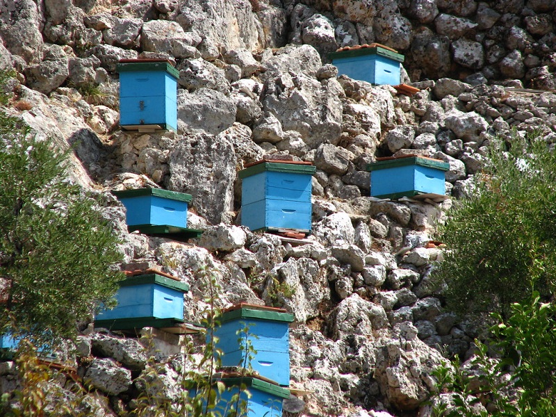 Kefalonia honey