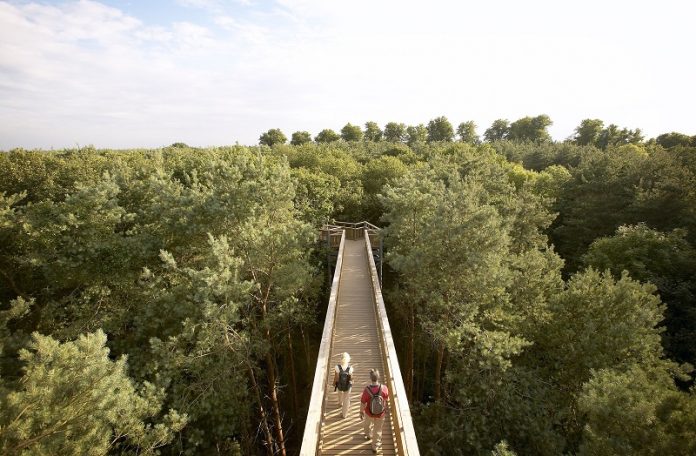 Northampton With Kids – The Best Things To See And Do With Kids In Northampton