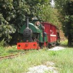 Sherwood Forest Railway 1