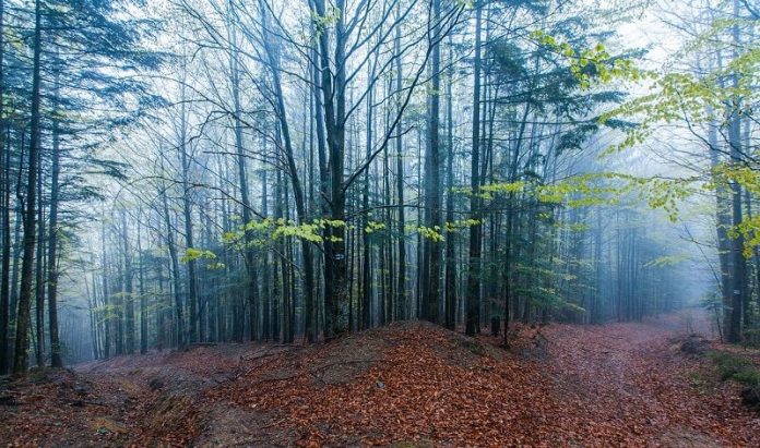 The Most Scary Places to Visit in Ukraine