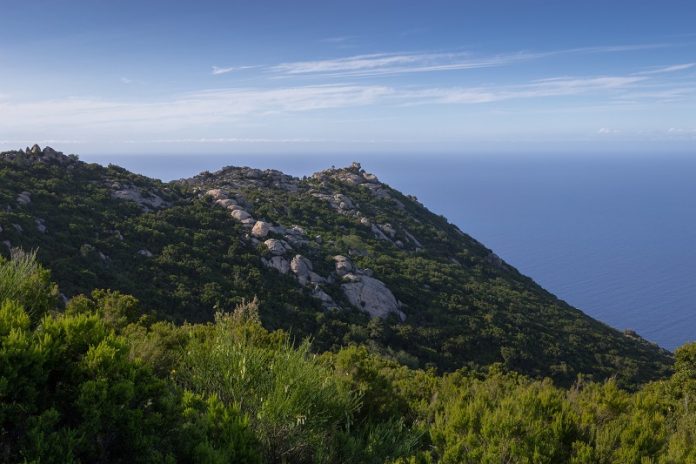 5 Things Elba Is Famous For Elba