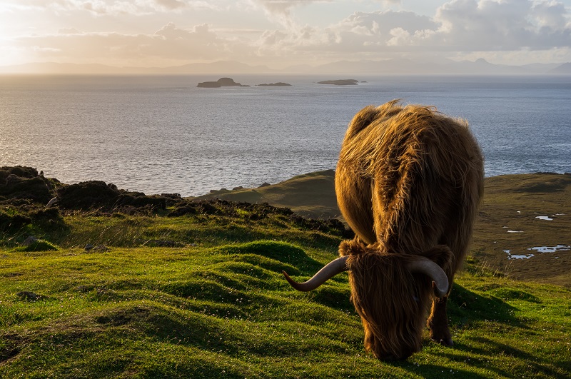 beautiful Isle of Skye