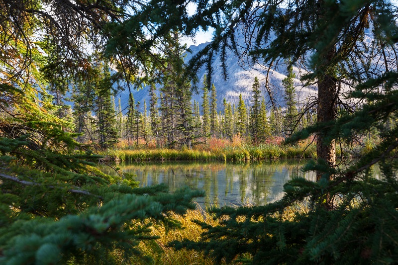 Mountains in Canada