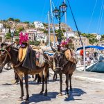 Donkeys,At,The,Hydra,Island,In,A,Summer,Day,In