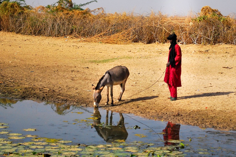 african-toeareg-man-getting-water-at-the-pond-with