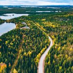 Aerial view of rural road in yellow and orange autumn forest wit