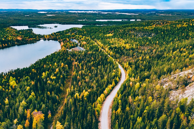 Aerial view of rural road in yellow and orange autumn forest wit