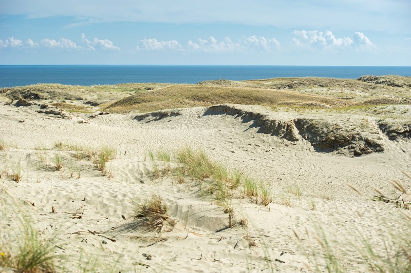sand dunes on the Curonian spit near the town of Nida. Klaipeda, Lithuania
