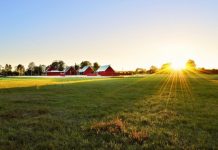 pretty places to visit essex